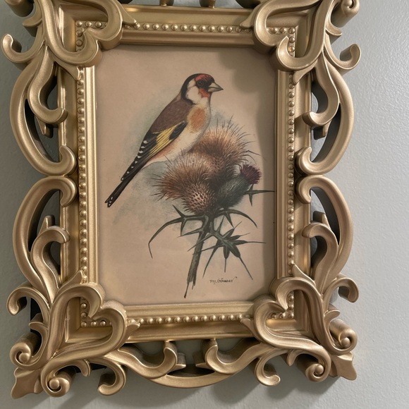 Ornate Gold Picture Frames with Vintage Bird Art - Picture 3 of 5